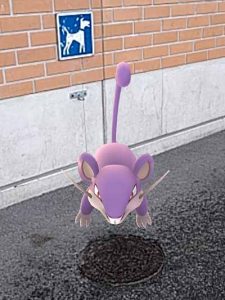 July 13, 2016, 11:28 Coming out of the grocery store, I met a Rattata in its natural environment